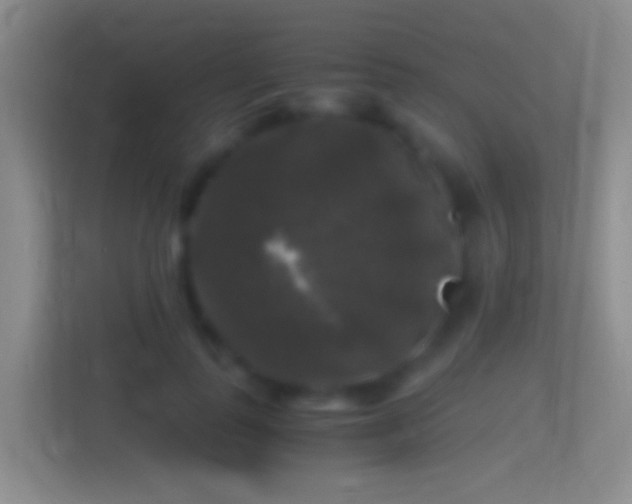X0000114390747200910231016