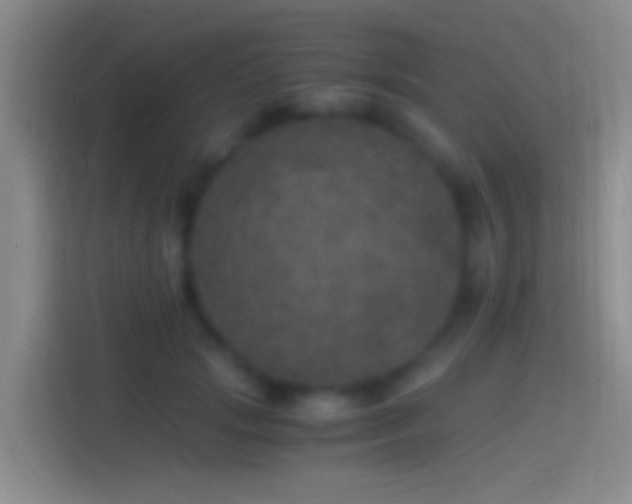 X0000114390749200910231016