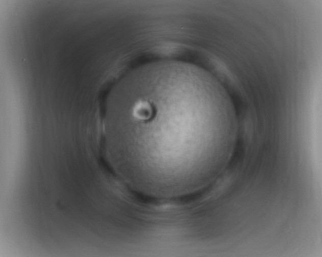 X0000114390750200910231016