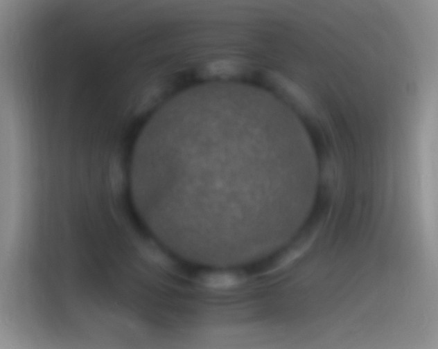 X0000114390751200910231016