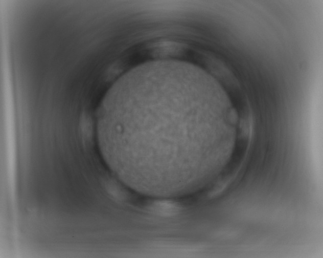 X0000114390753200910231016