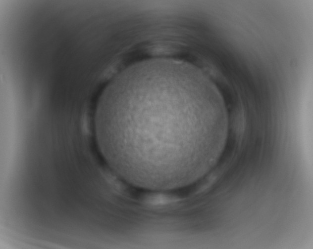 X0000114390755200910231016