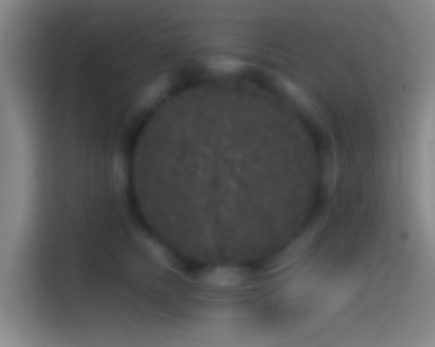X0000114390758200910231016