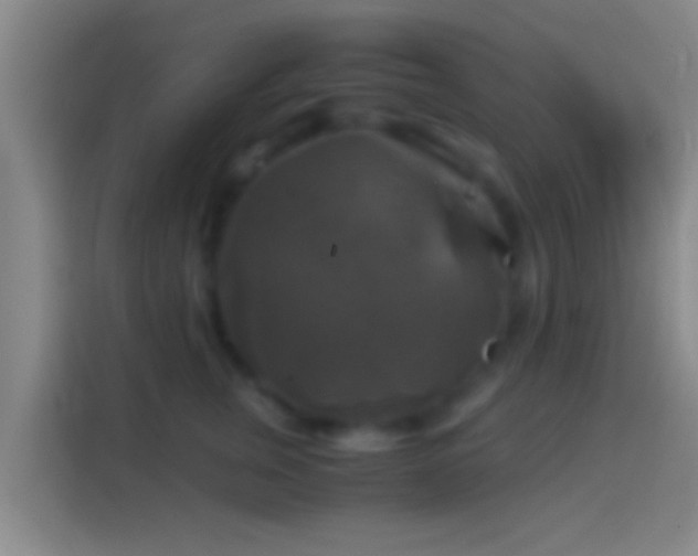 X0000114390759200910231016