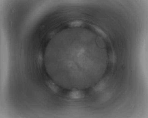 X0000114390761200910231016