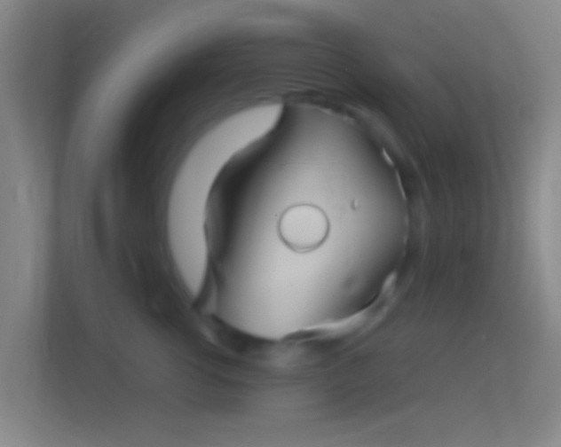 X0000114390762200910231016