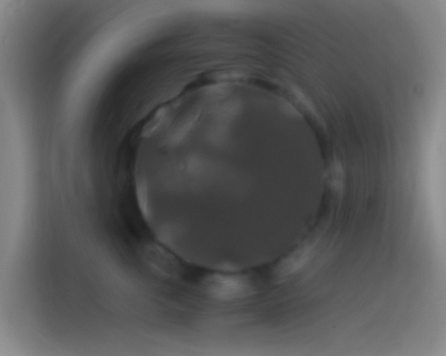 X0000114390763200910231016