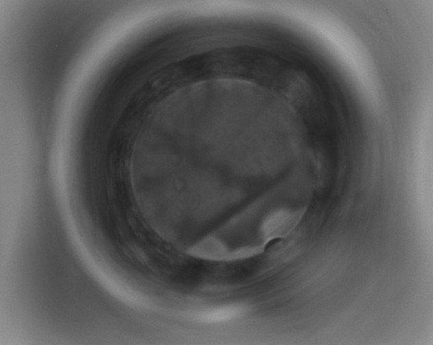 X0000114390765200910231016