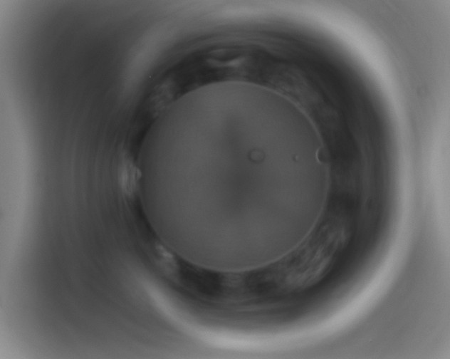 X0000114390766200910231016