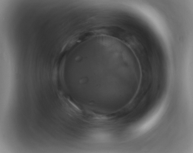 X0000114390767200910231016