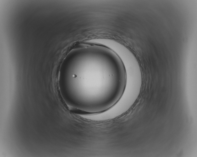 X0000114390769200910231016