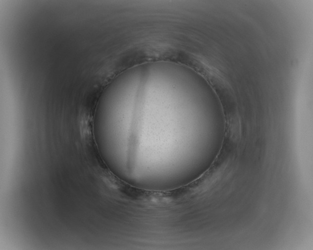 X0000114390770200910231016