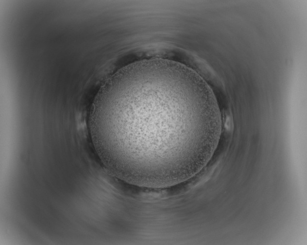 X0000114390771200910231016