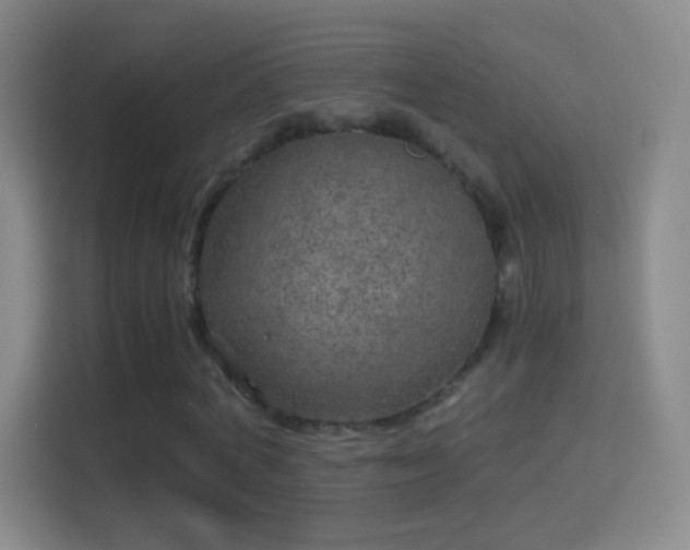 X0000114390772200910231016