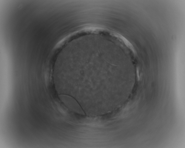 X0000114390775200910231016