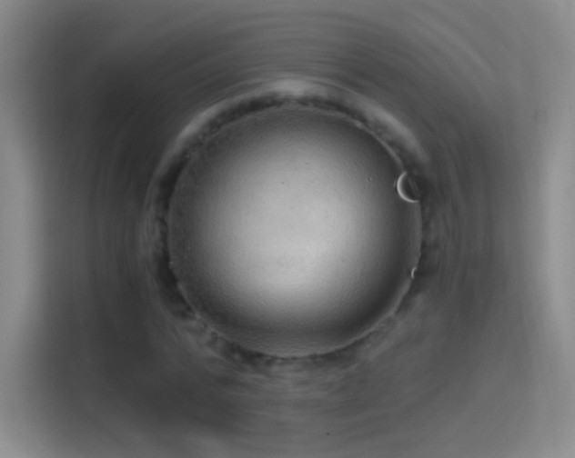 X0000114390776200910231016
