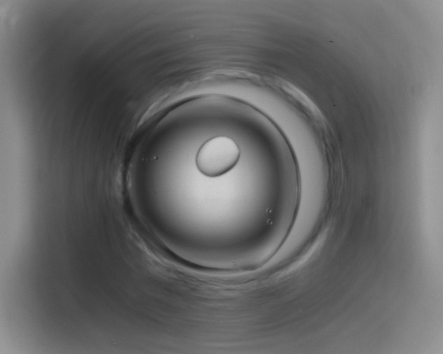 X0000114390777200910231016