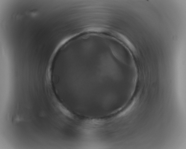 X0000114390779200910231016