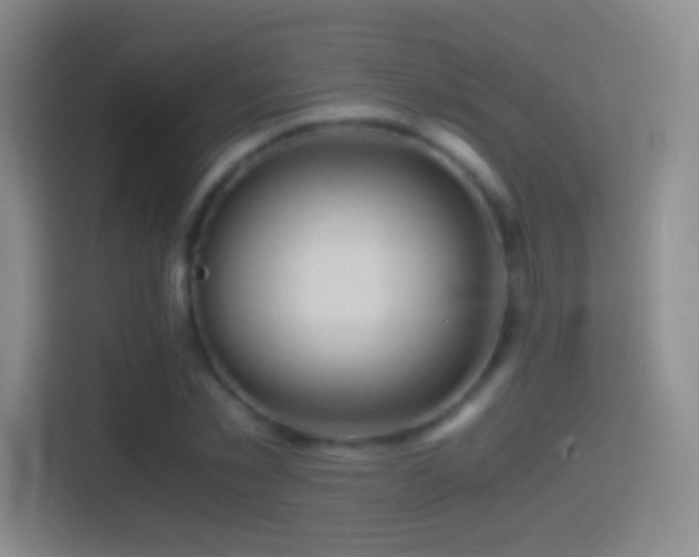 X0000114390781200910231016
