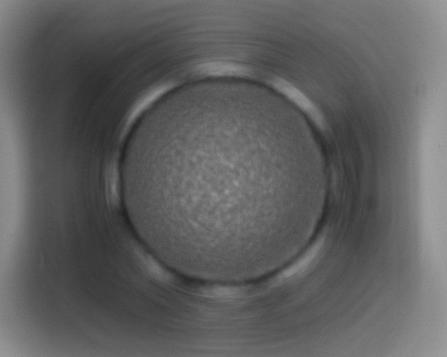 X0000114390782200910231016