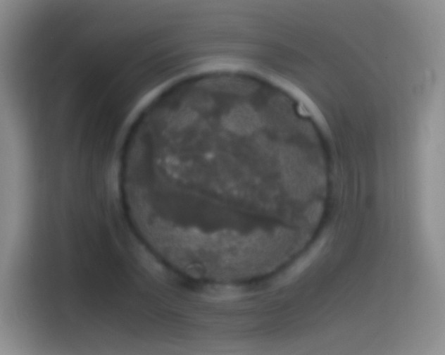 X0000114390783200910231016