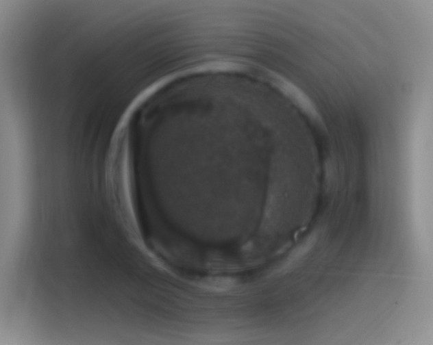 X0000114390784200910231016
