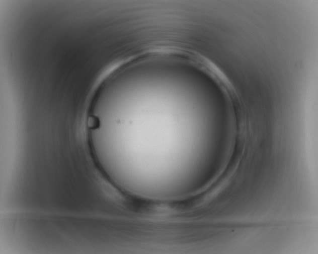 X0000114390787200910231016