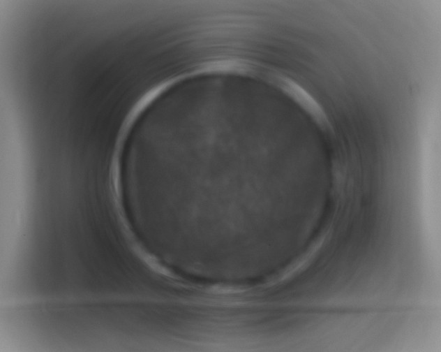 X0000114390788200910231016