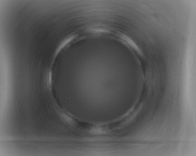 X0000114390790200910231016