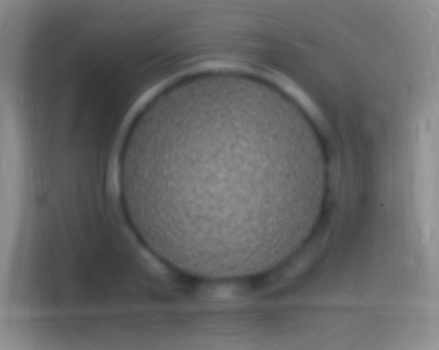 X0000114390791200910231016