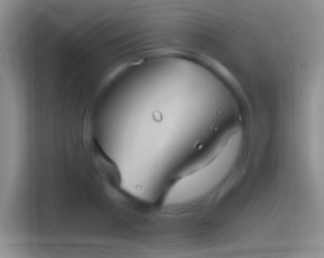 X0000114390793200910231015