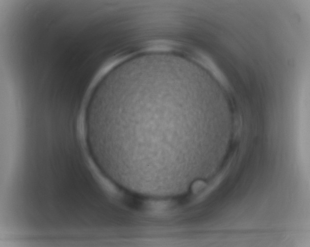 X0000114390795200910231015