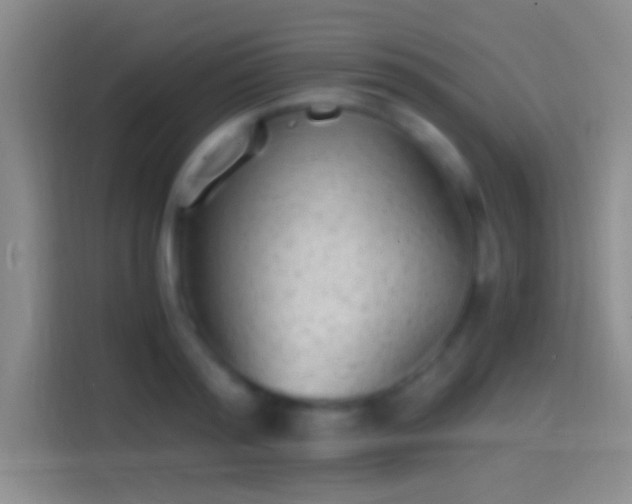 X0000114390796200910231015