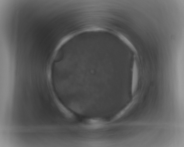 X0000114390797200910231015