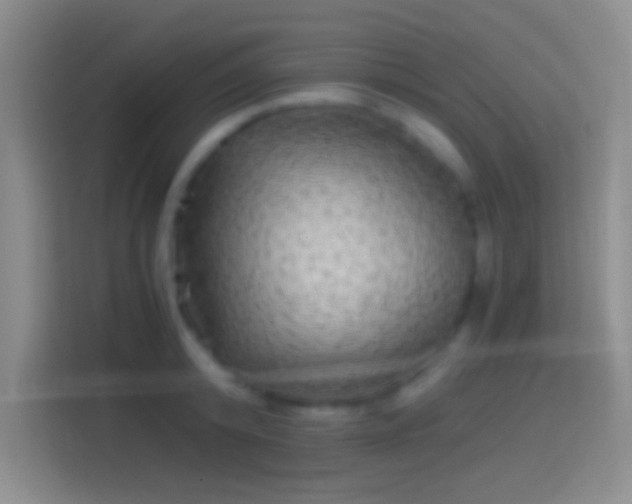 X0000114390800200910231015
