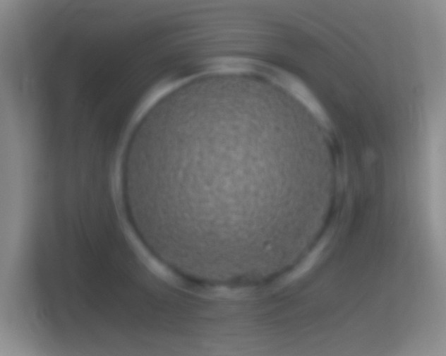 X0000114390803200910231015
