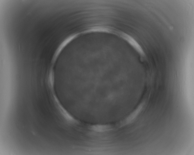 X0000114390804200910231015