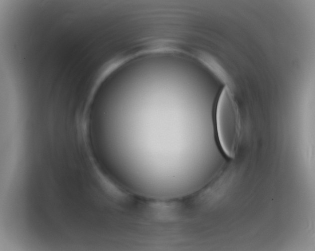 X0000114390805200910231015
