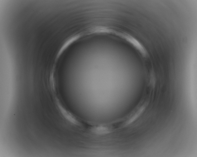 X0000114390806200910231015