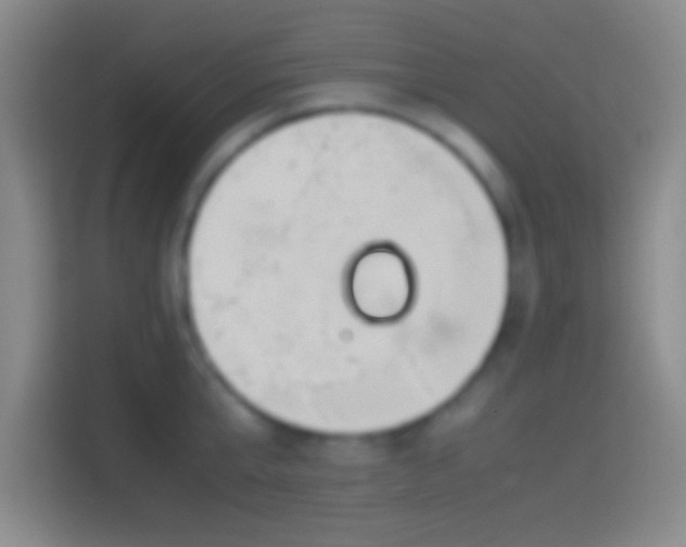 X0000114390807200910231015