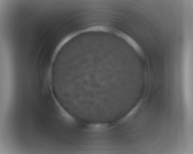 X0000114390808200910231015