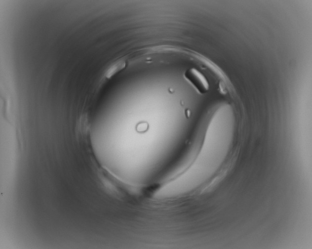 X0000114390809200910231015