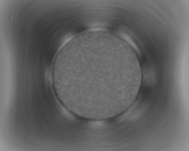 X0000114390810200910231015