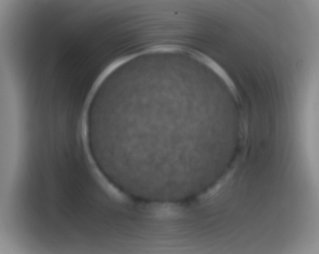 X0000114390811200910231015