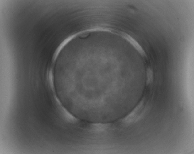 X0000114390812200910231015