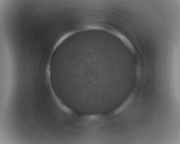 X0000114390814200910231015