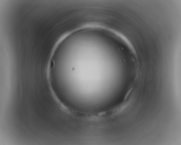 X0000114390815200910231015