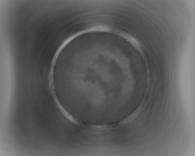 X0000114390816200910231015