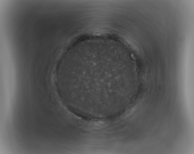 X0000114390817200910231015