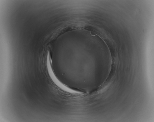 X0000114390818200910231015